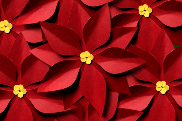 Christmas Poinsettia Flat or 3D