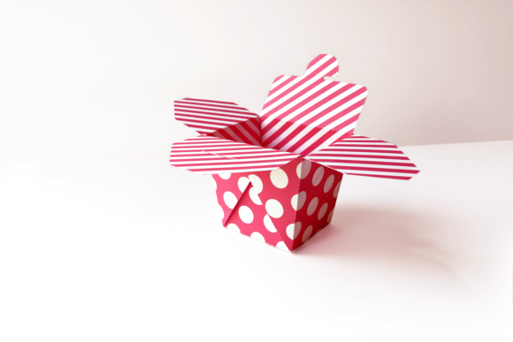 Takeout Container Box 3D SVG Shapes Review